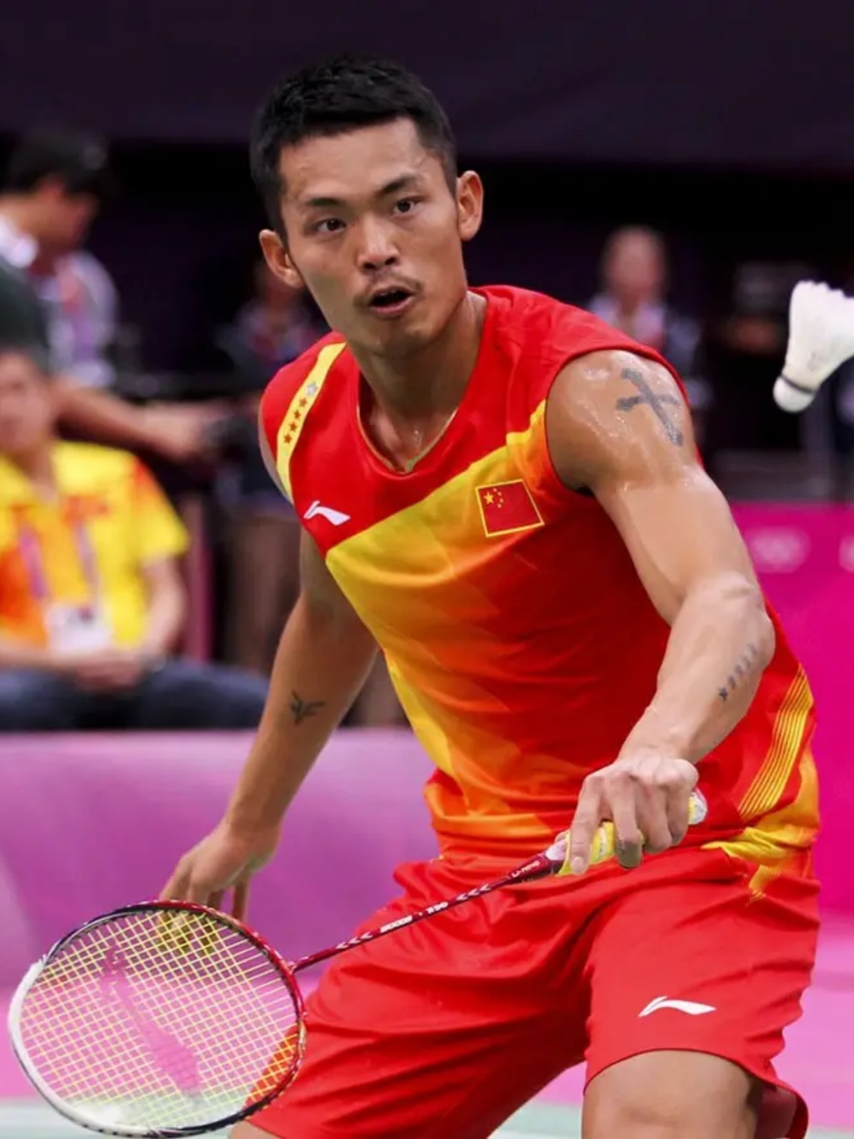 的戏码被球 的戏码被球